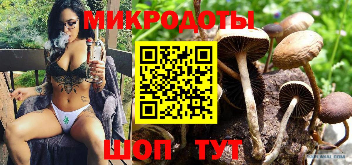 Псилоцибиновые грибы MAGIC MUSHROOMS  Вход с VPN  Кондопога  Галлюциногенные грибы мухоморы 