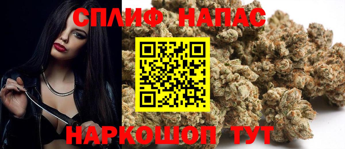 Бошки марихуана MAZAR Кондопога